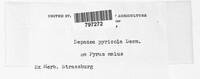 Image Associated With the Occurence